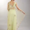 Lime Green Embellished Net Saree