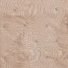 Soft Peach Tissue Suit Set