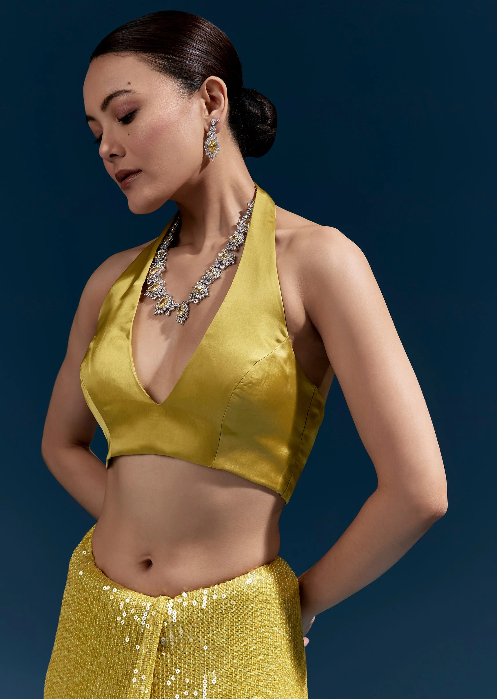 Yellow Net Sequin Saree With Linear All Over Work And Hand Embroidered Floral Border