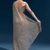 Coffee Brown Net Sequin Saree With Linear All Over Work And Hand Embroidered Floral Border