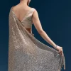 Coffee Brown Net Sequin Saree With Linear All Over Work And Hand Embroidered Floral Border