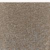 Coffee Brown Net Sequin Saree With Linear All Over Work And Hand Embroidered Floral Border