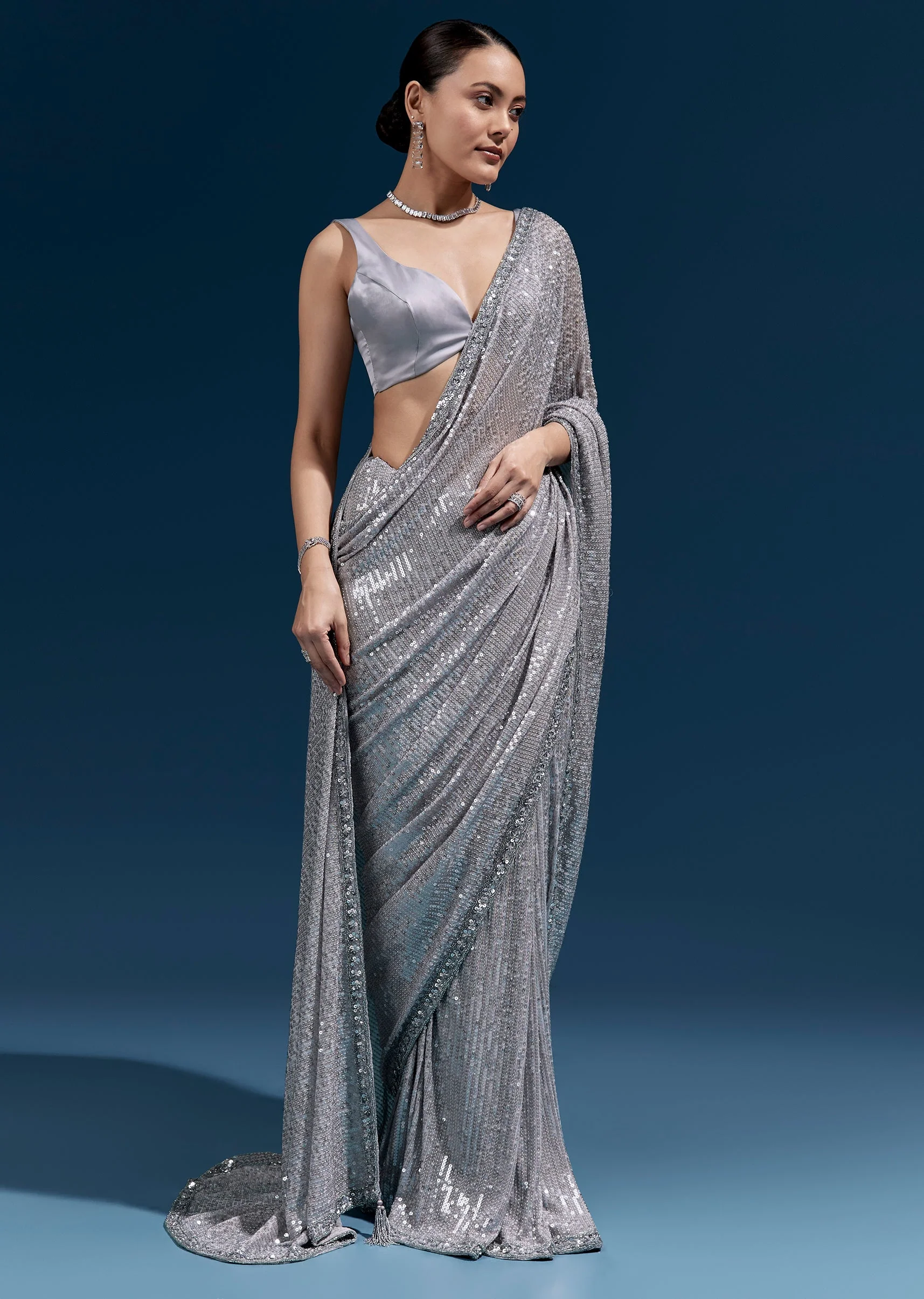 Grey Net Sequin Saree With Linear All Over Work And Hand Embroidered Floral Border